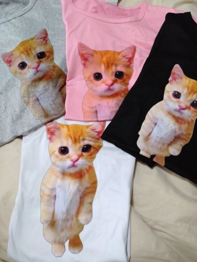 画像1: 可愛いネコのTシャツ　４色
